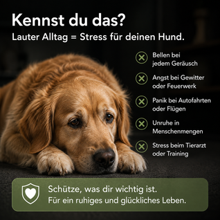 StillPfote Gehörschutz für Hunde