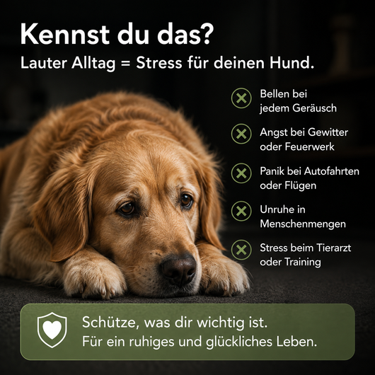 StillPfote Gehörschutz für Hunde